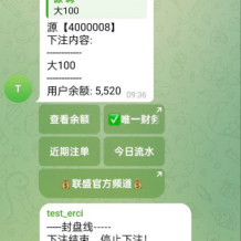 JAVA版飞机投注系统/telegram投注机器人/TG游戏