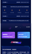 前端vue版哈希竞彩/区块链哈希值游戏/usdt/trx双玩法